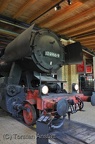 DSC 5294