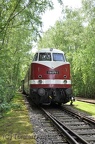 DSC 5309