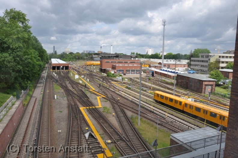 DSC 5261