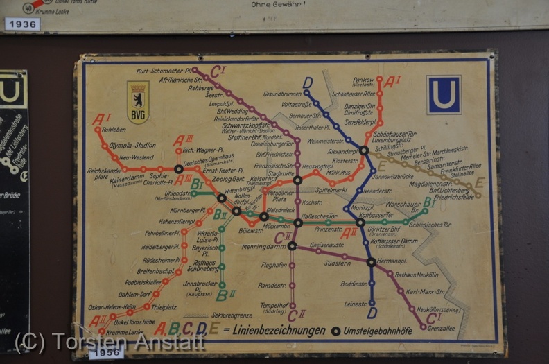 DSC 5265