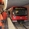 IMG 4466