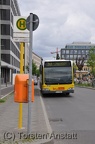DSC 5341