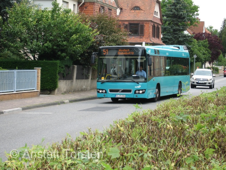 IMG 4854