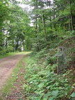 IMG 4964