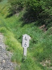 IMG 4051