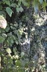 DSC 4943