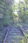 DSC 4944