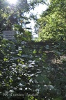 DSC 4948