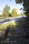 DSC 4949