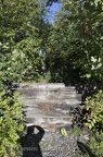 DSC 4951