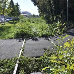Mainschleifenbahn
