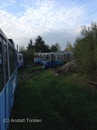 IMG 0768