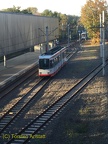 IMG 7447