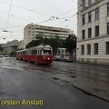 IMG 6111