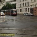 IMG 6119