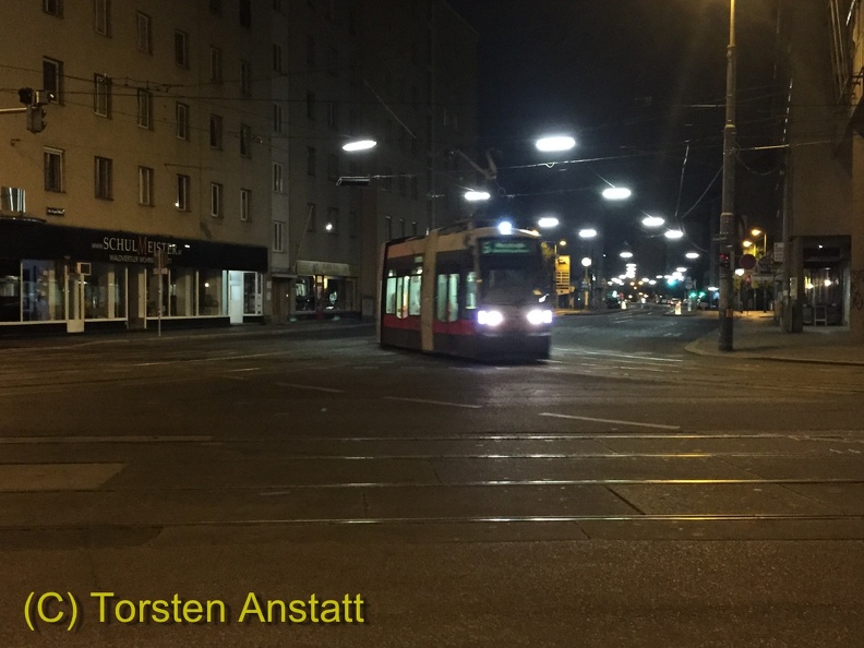 IMG 6725